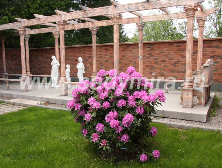 ������� �� ����� ���