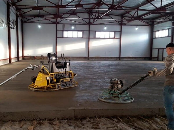 ������������ ���� ����